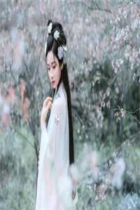 咽泪装欢桃花落爽文