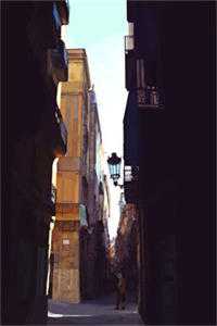 明月相照桑榆已晚最新热门小说