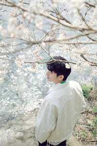 系统让我变成乖皇后，皇帝慌了章节