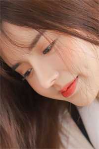 风把遗憾吹向远方全章阅读