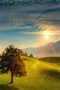 疯批太子恋爱脑，侍寝宫女没路跑好看的小说推荐完结