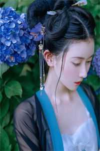 燕归来兮有憾时的小说