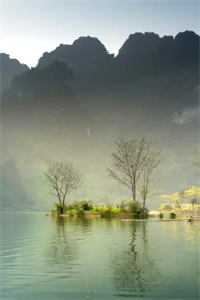 别凶！漂亮小哑巴他超娇气短篇小说阅读