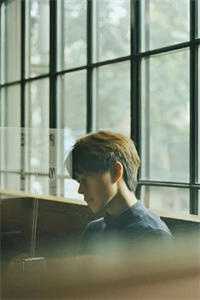 梦醒不见去年春楚鸢沈世尧番外