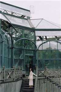 细雨洇湿青衫全文免费