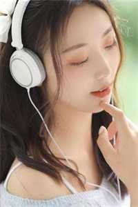 桐花零落春难辞爆款热文