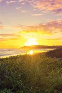 对，我不再爱你了阿朵傅云宸小说