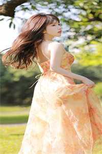 长风万里不递书畅读