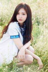 枯木逢春千山过抖音热门