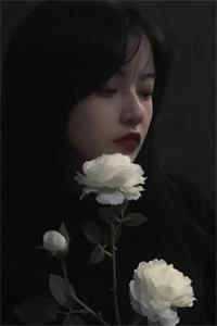 你曾是我的满天星光热门小说