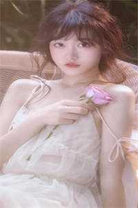 南风未起，念你成疾最新热门小说