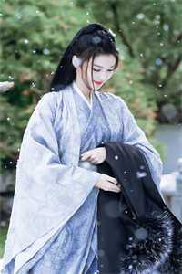 半盏花灯枕明月人气小说