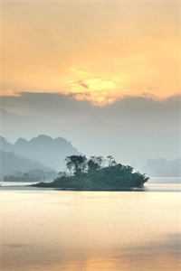 乱世荒年：我的九个嫂子不对劲赵十郎苏宛月小说结局