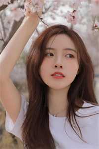 父王，开门！本郡主闯祸回来啦全章节阅读