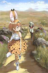 飞雁渡春秋几重的小说