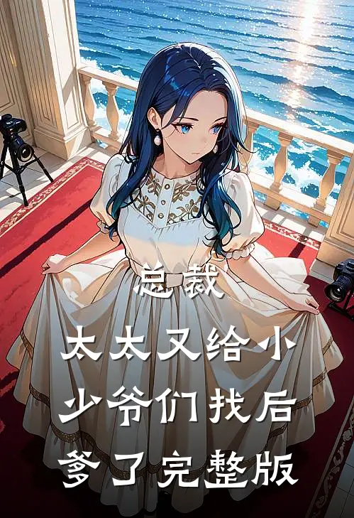 总裁,太太又给小少爷们找后爹了完整版