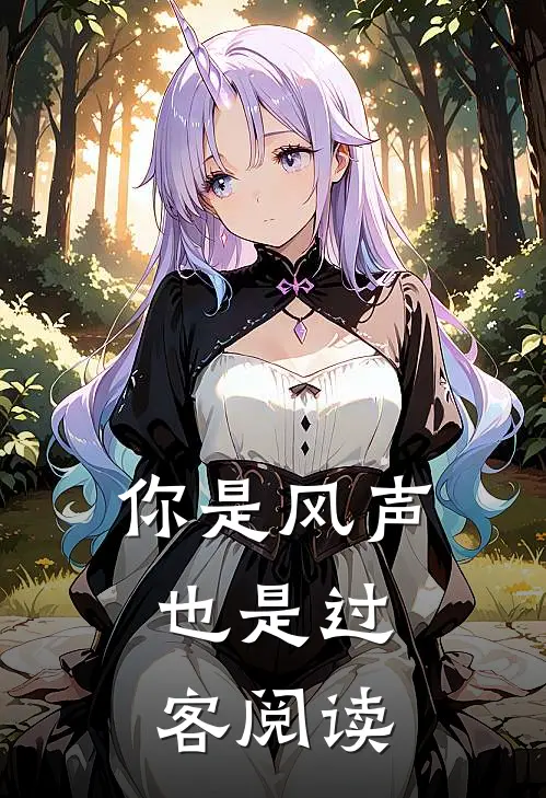 你是风声，也是过客阅读