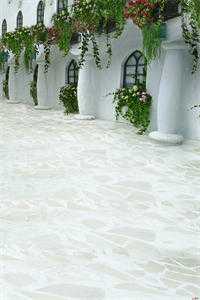 苗疆少年强制爱后，她插翅难飞全本