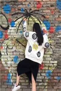 飞雁渡春秋几重完整阅读