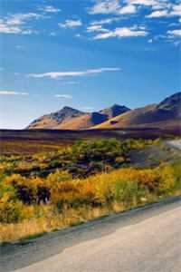 发现我的陪嫁车变成五菱宏光后，一心只要奥迪的男友傻眼了王女士周衡全文