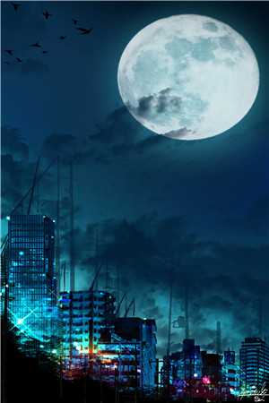 风雪经年梦已醒完整文集阅读