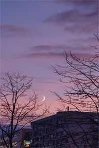 你的余温我的归途连载