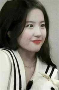 半盏清欢恰如诗后续+无弹窗