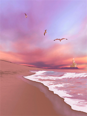 觉醒狩猎外挂，我在黑市成传说完结文