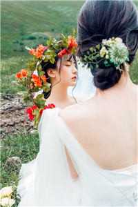 飞雁渡春秋几重连载