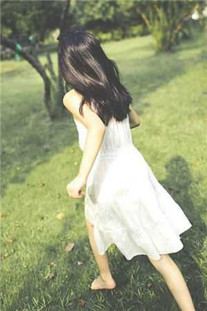 梦中那片失约的海新上热文