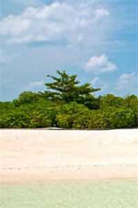 辞凤阙，赴江南，不问归期爆款宝藏