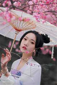 聿心向南试读