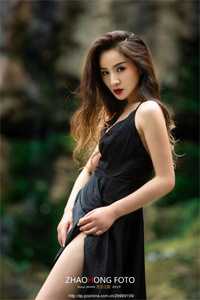 一夜星河入梦来篇章