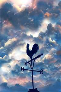 情深作局中，此恨经年长已完结版