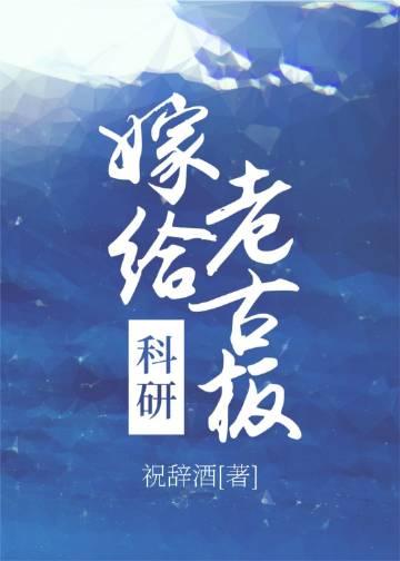 心脏里夹着她们的碎刀畅读
