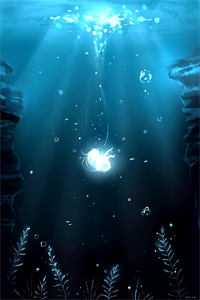 半生相逢皆过客无广告