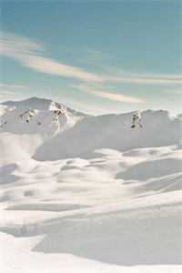 实行弹性工作制被00后骂上热搜，我杀疯了全本