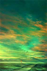 掌中细腰无删减版