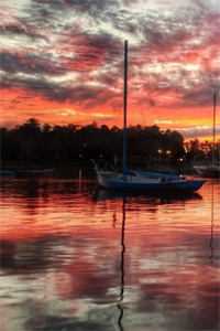 难抵山水再覆江梨月陆骞泽全局