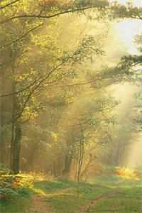 我跟闺蜜被杀后脱离世界回家，亲人们却疯了必读文