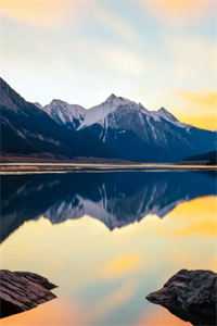 春未老心已旧完结