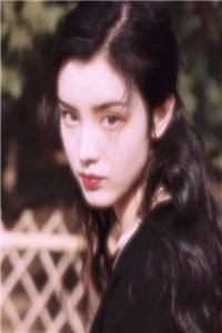 情陷浅水湾完结文