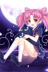 旧野栀枯不再逢陆栀柠顾野大结局