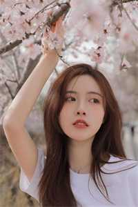 千帆过尽，此生非晚试读