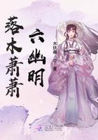 鸿雁南回，情上风浅完整版