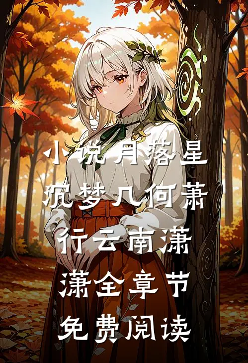 小说月落星沉梦几何萧行云南潇潇全章节免费阅读