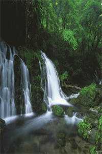 被弹幕剧透后，我娶了全书大反派全文章节