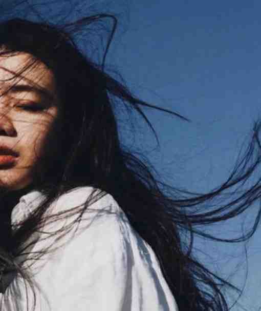 沸雪灼心顿白首人气小说