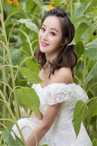 菩萨与野狗苏禾茉池渊全文