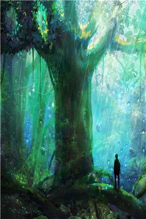 风过无痕，唯余旧梦寒精品推荐